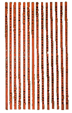 0105ph019