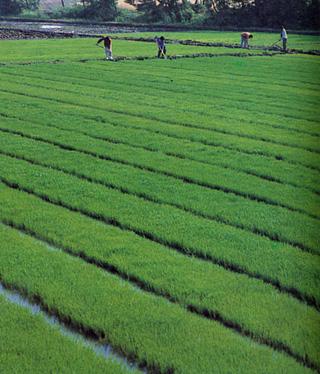 0202ph054