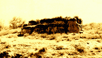1203ph009