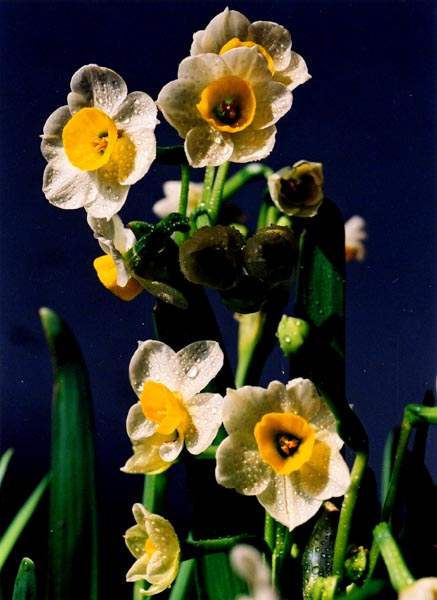 0205ph006