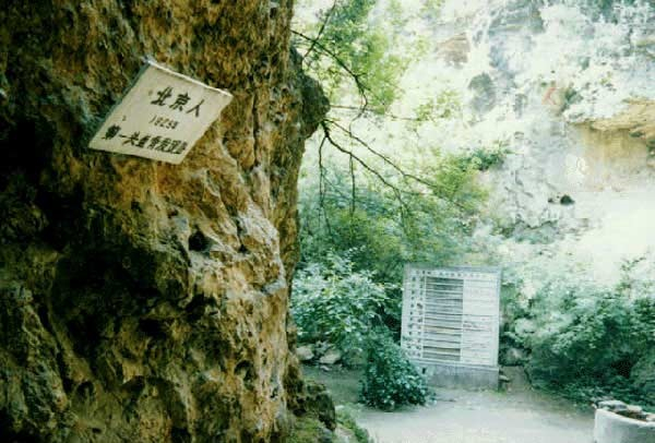 0102ph006