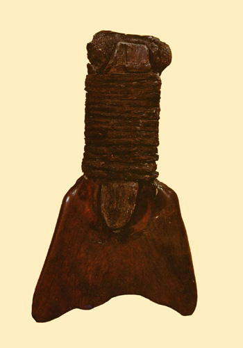 0810ph011