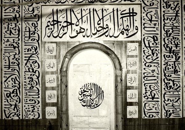 30036ph013