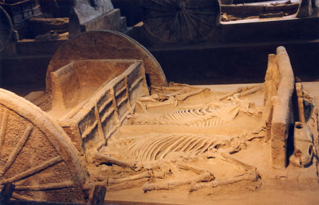 20502ph005