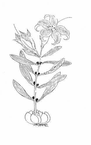 0806ph004
