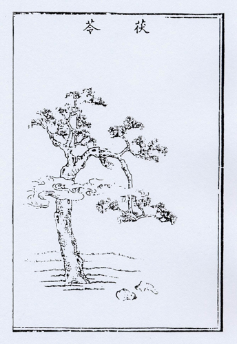 0806ph012