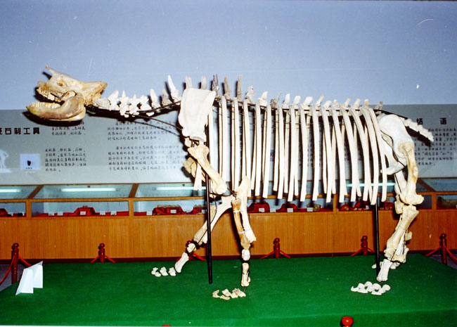 0806ph026