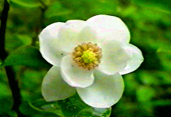 1213ph021
