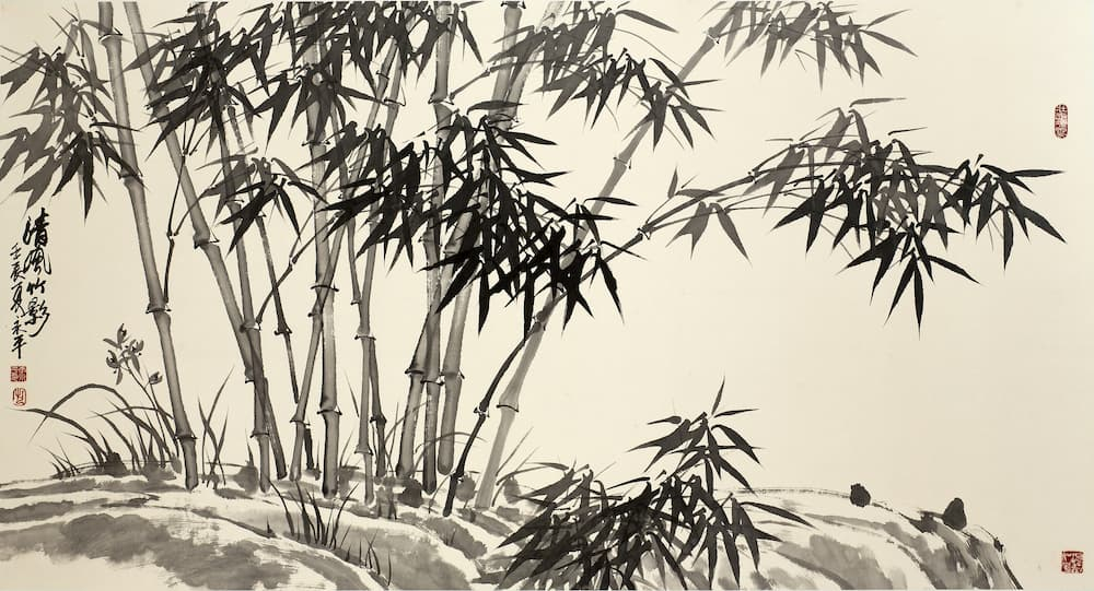 20310phn002_01