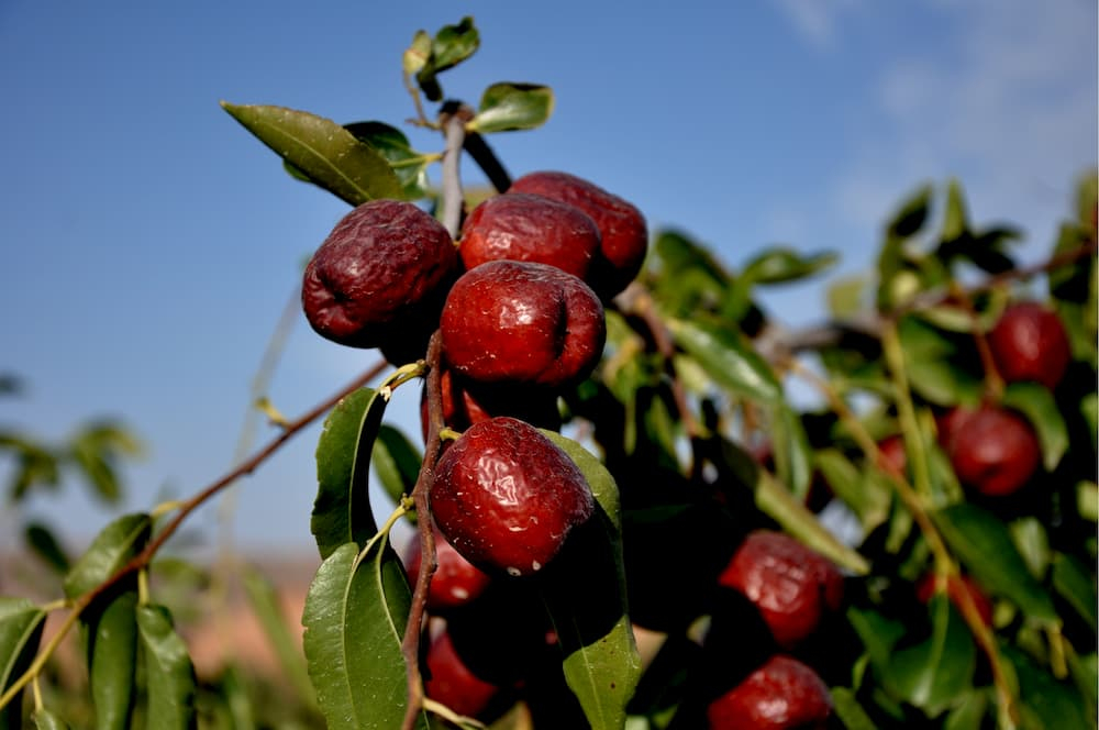 0906phn004_01