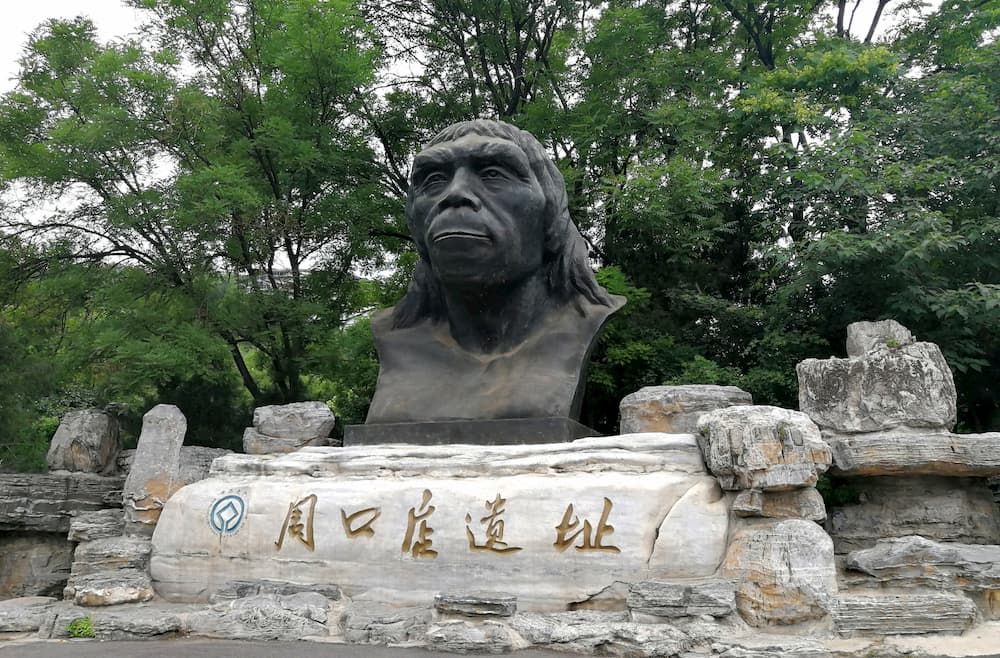 1201phn003_01