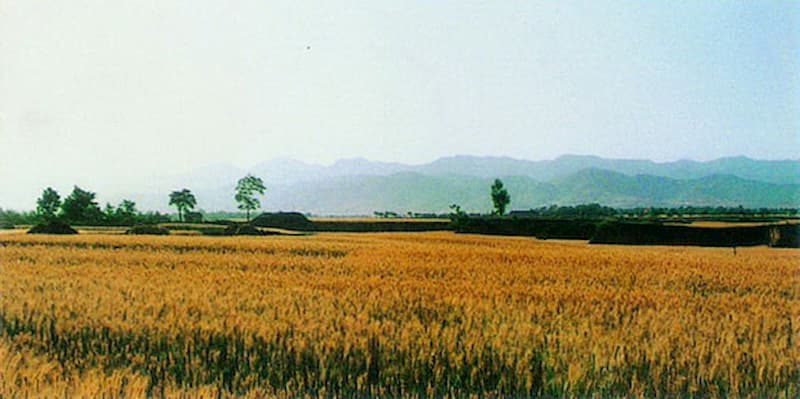 20122ph004