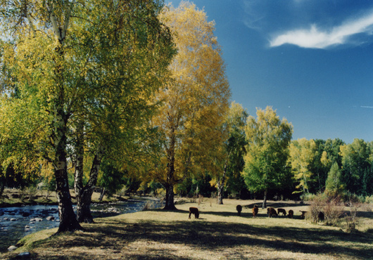 0307ph001